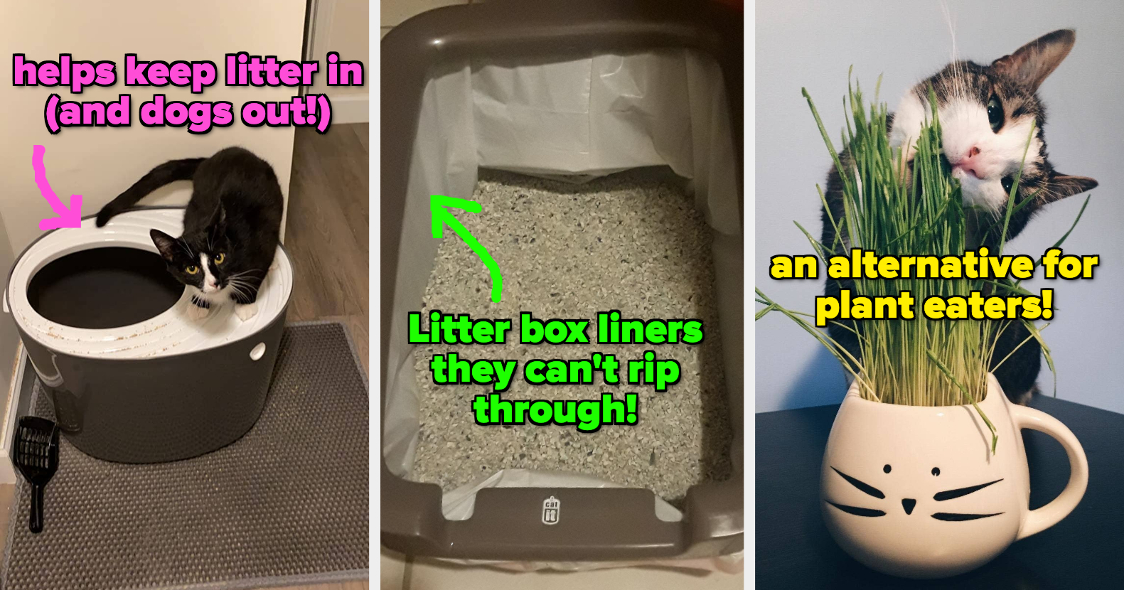 Diy cat litter outlet attractant