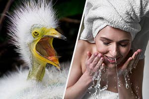 Bird with wide mouth and woman splashing face with water.