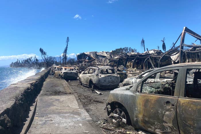 A line of burned-out vehicles next to severely damaged structures