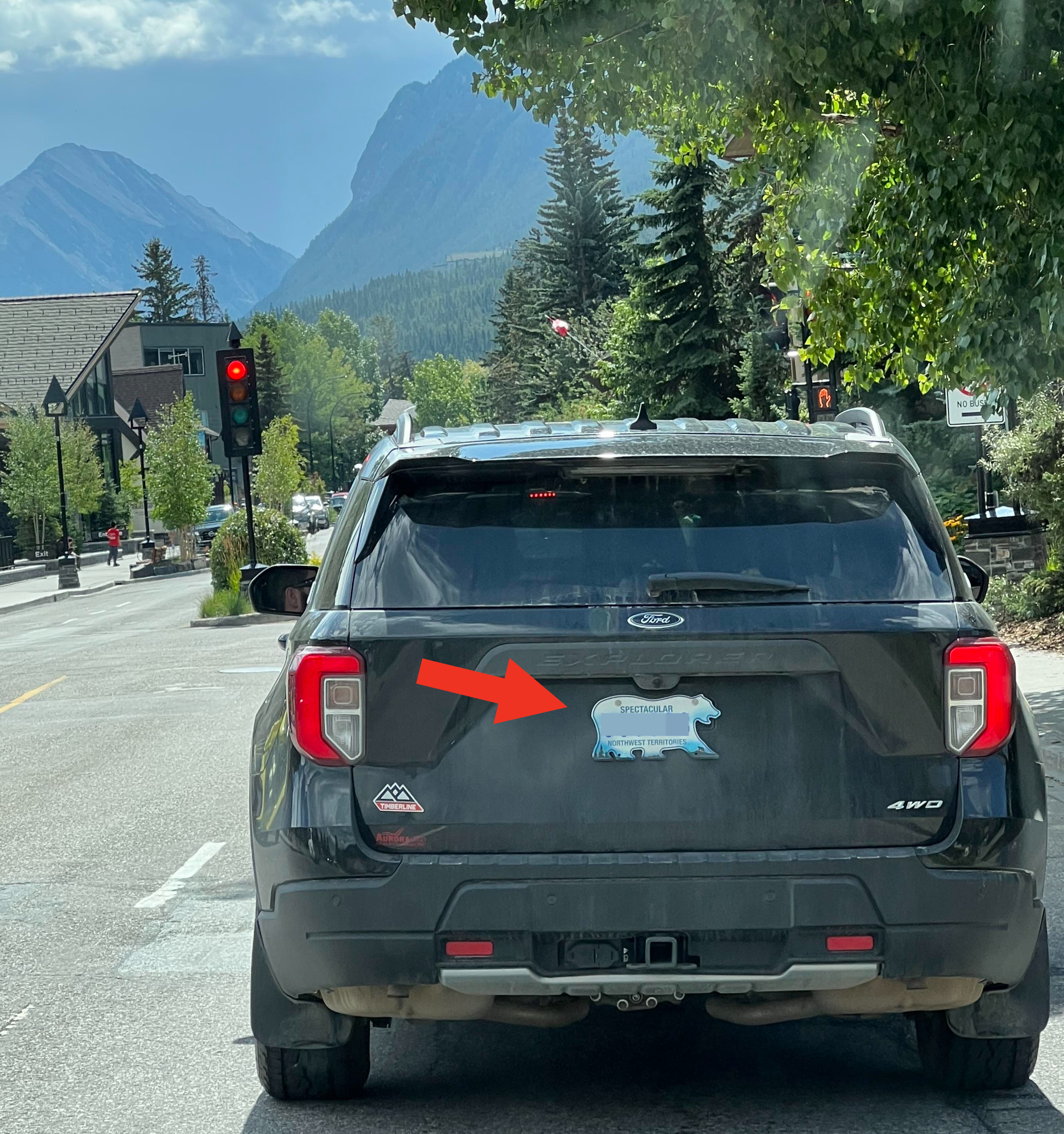 Arrow pointing to a car&#x27;s license plate in the shape of a bear