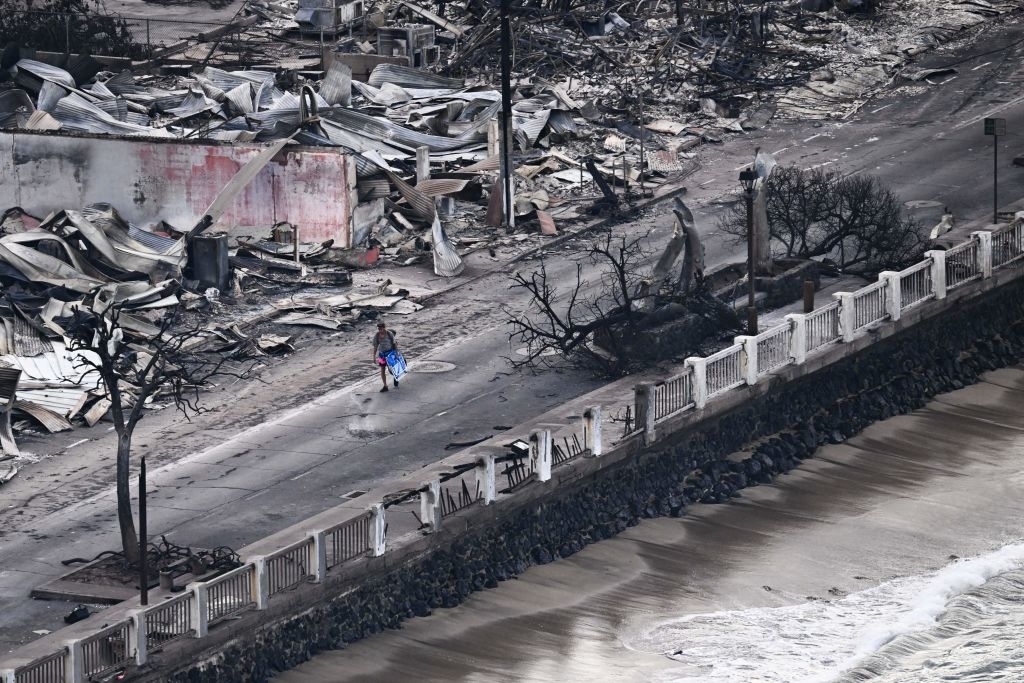 A distant shot of a person walking down a road with rubble in the background and downed dress
