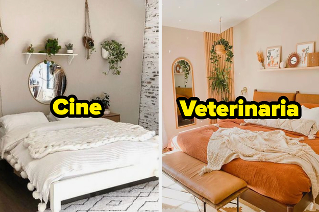 Decora la habitación de tus sueños y te diré cuál sería tu carrera ideal