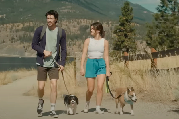 a couple walking their dogs on a hike