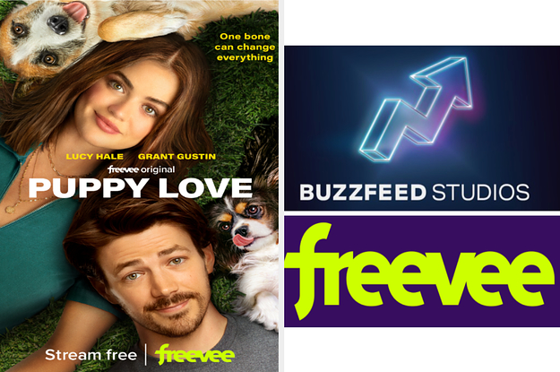 Puppy Love Finds New Meaning In The Upcoming Amazon Freevee Original ...