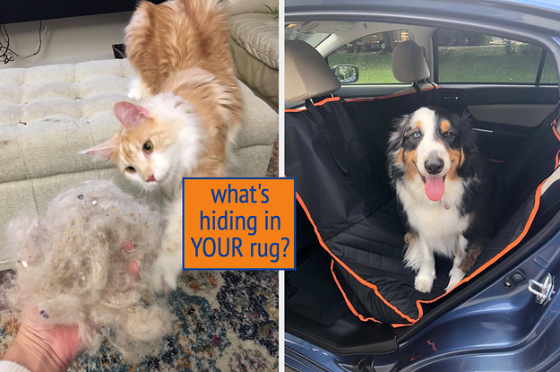 reviewer's orange cat reaching for ball of fur the broom brought up / reviewer's dog in car back seat with a cover on it