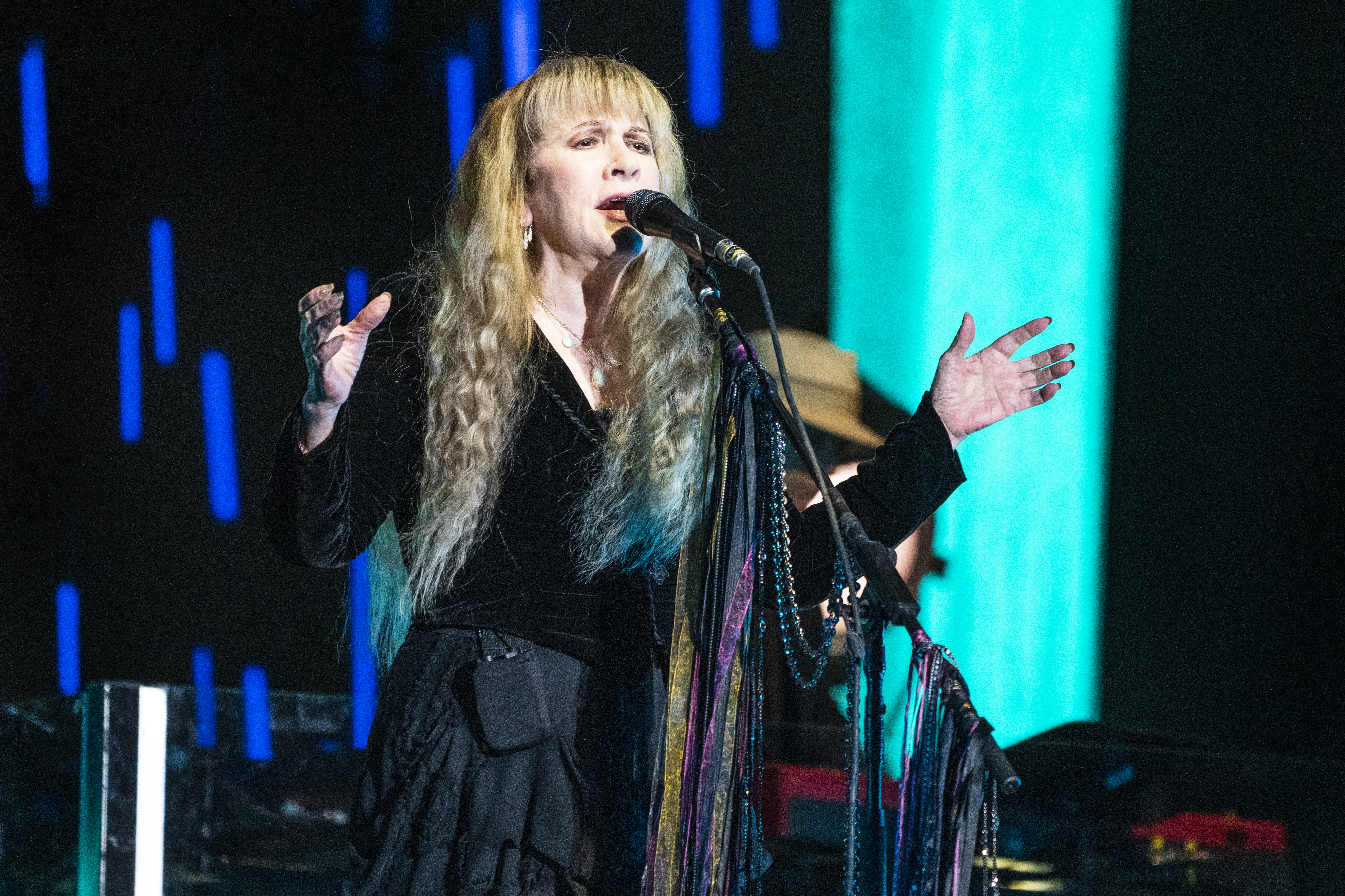 Stevie Nicks onstage