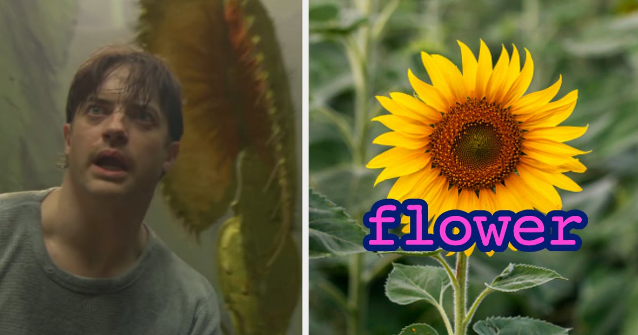 What's My Plant Personality? Plant Quiz