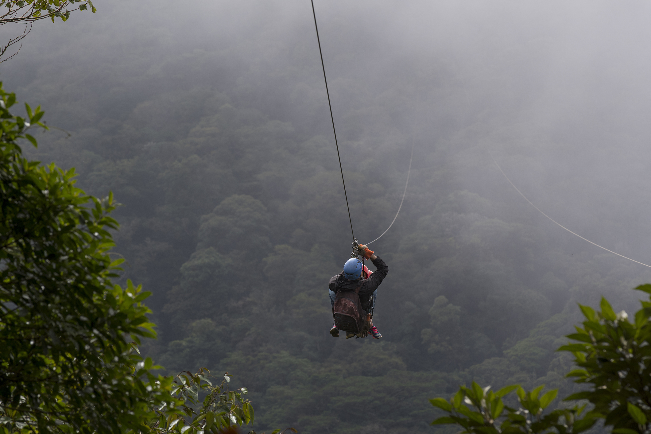 someone zip-lining in the jungle