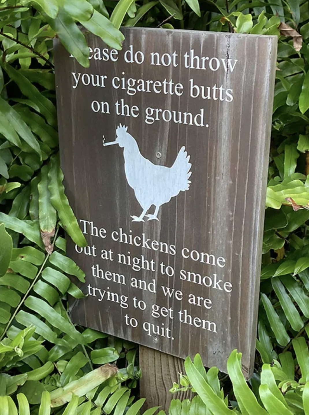please don&#x27;t throw your cigarette butts on the ground with an outline of a chicken smoking