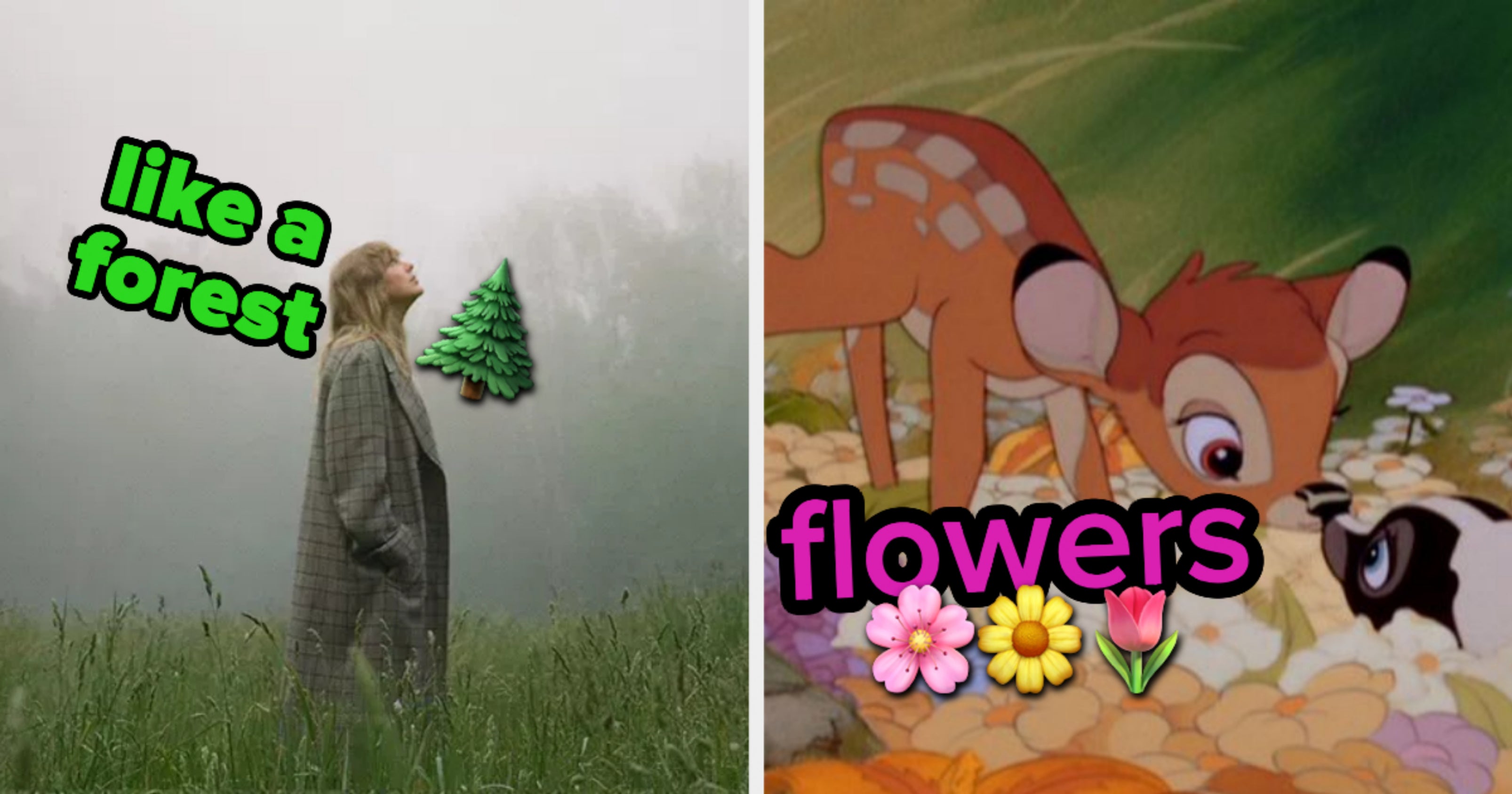 What Do I Smell Like? Scent Quiz