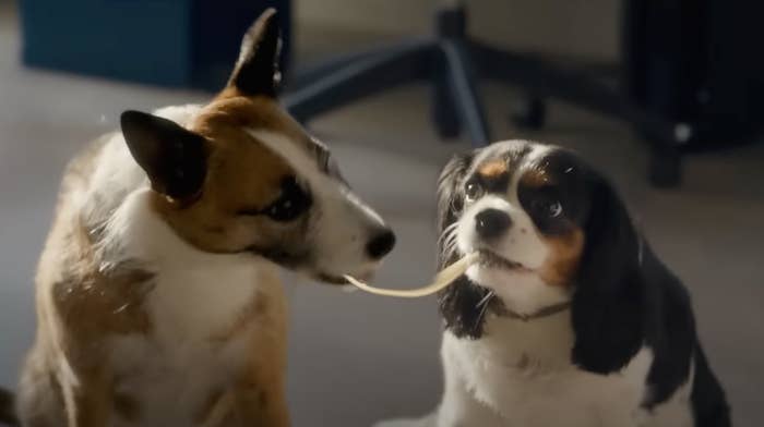 The two dogs from the movie &quot;Puppy Love&quot; sharing spaghetti