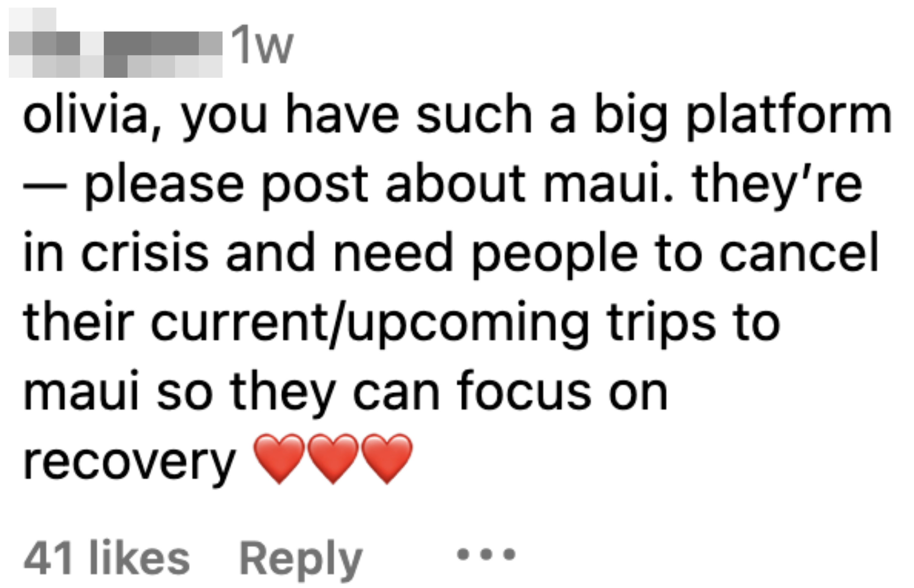 &quot;You have such a big platform — please post about Maui; they&#x27;re in crisis and need people to cancel their current/upcoming trips so they can focus on recovery&quot;