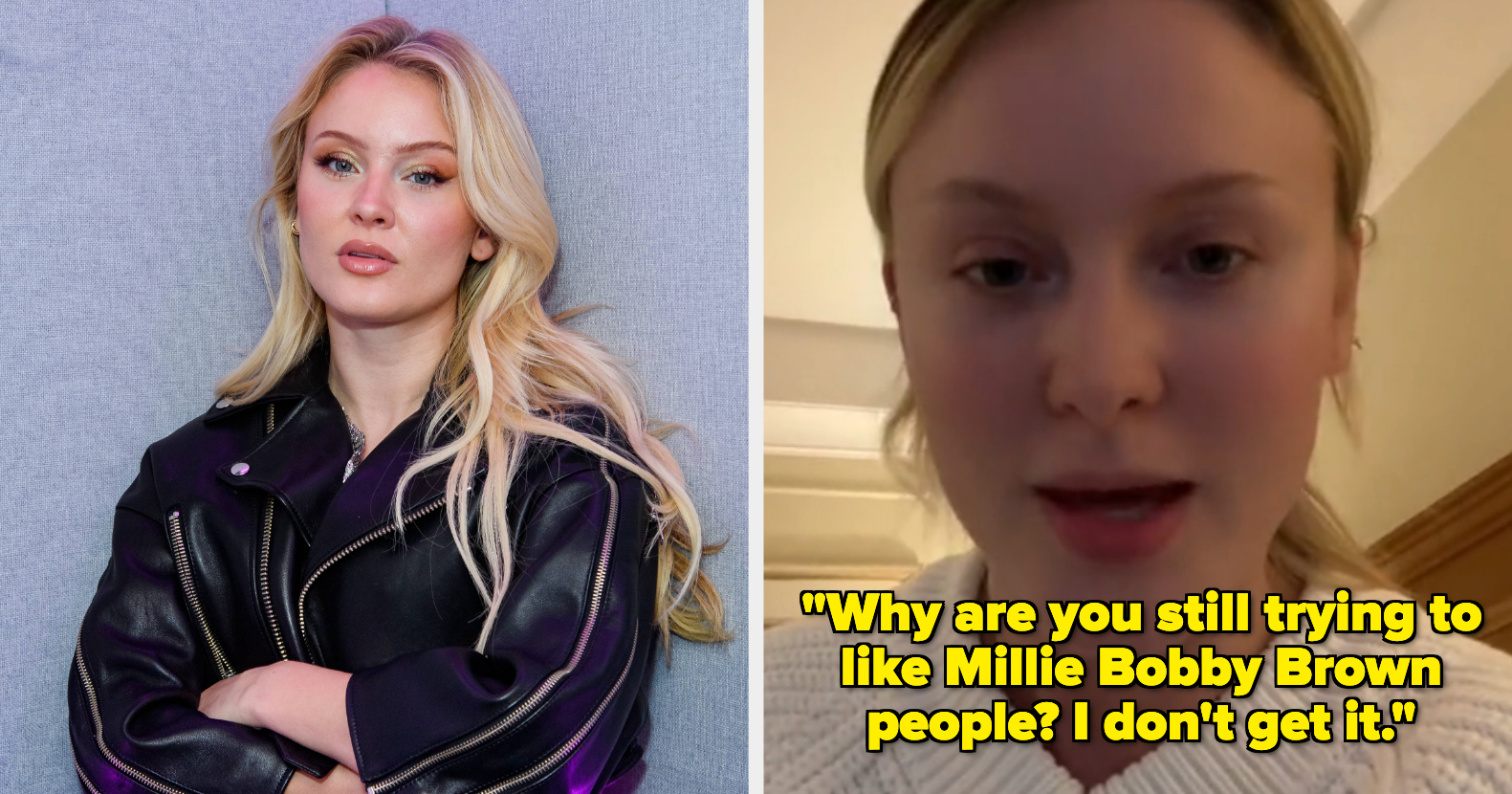 Zara Larsson Calls Out TikToker Who Joked About Her Being Homophobic