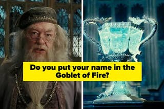 Dumbledore and the Goblet of Fire.