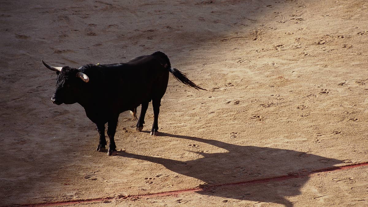 A bullfighter in Spain endured a gruesome injury after a faceoff gone wrong.