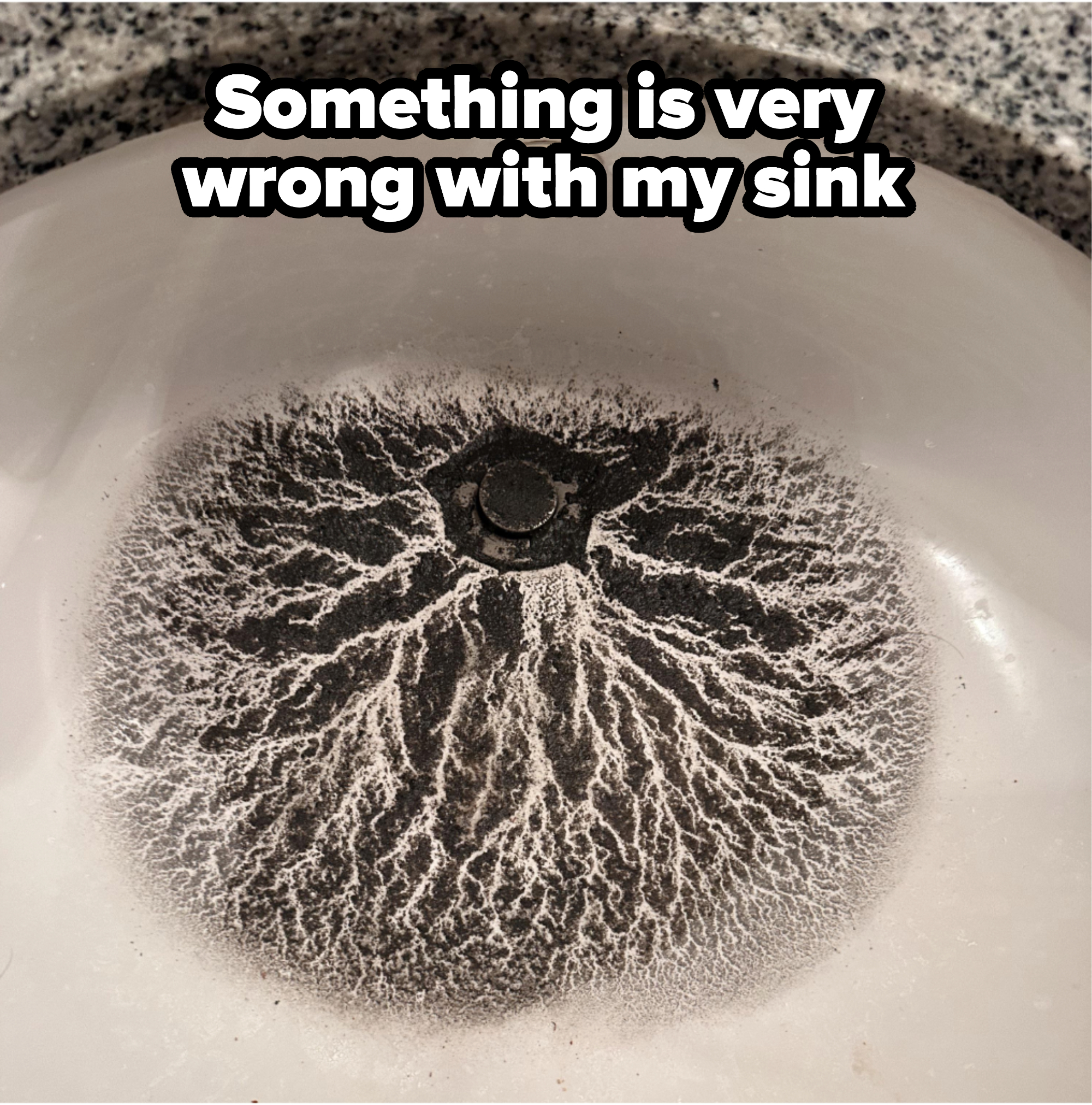 Mold in a sink