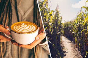 A woman holding a pumpkin spice latte and a corn maze enterance.