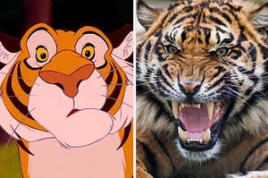 Tiger from Aladdin and tiger snarling