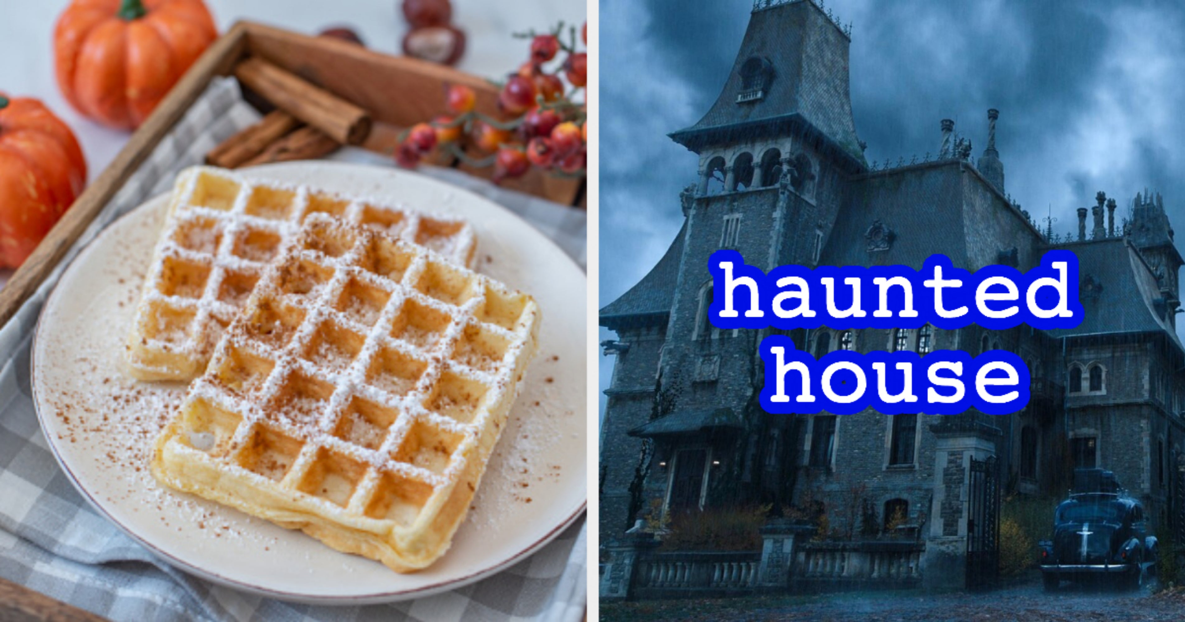 What Fall Activity Am I? Fall Quiz