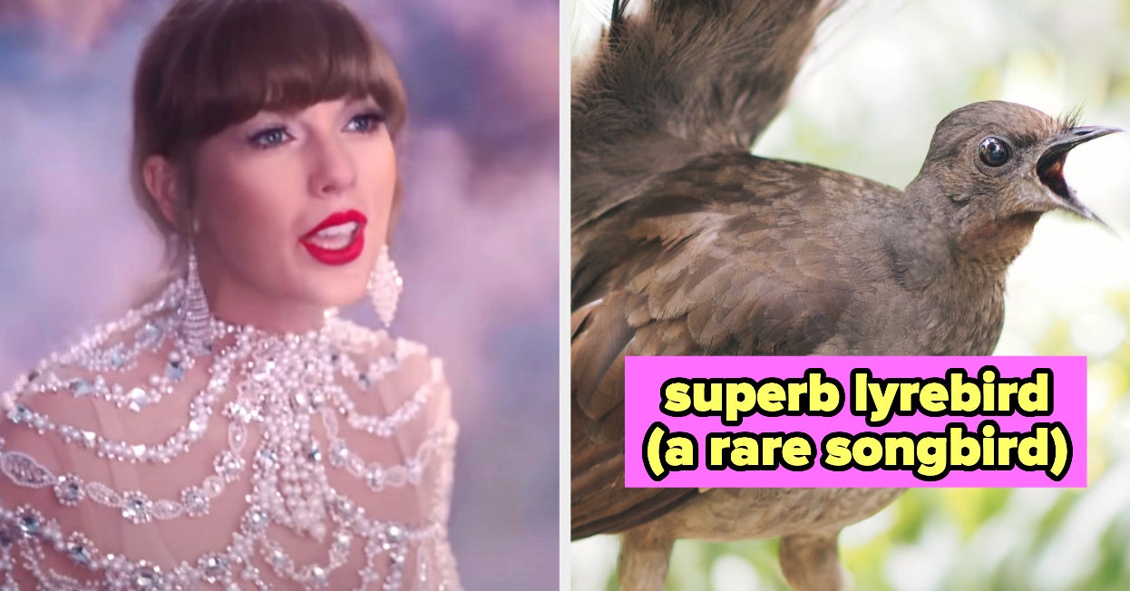Your Rare Animal Personality Quiz