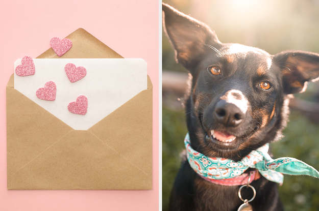 envelope with hearts and a letter and a dog in a neck scarf