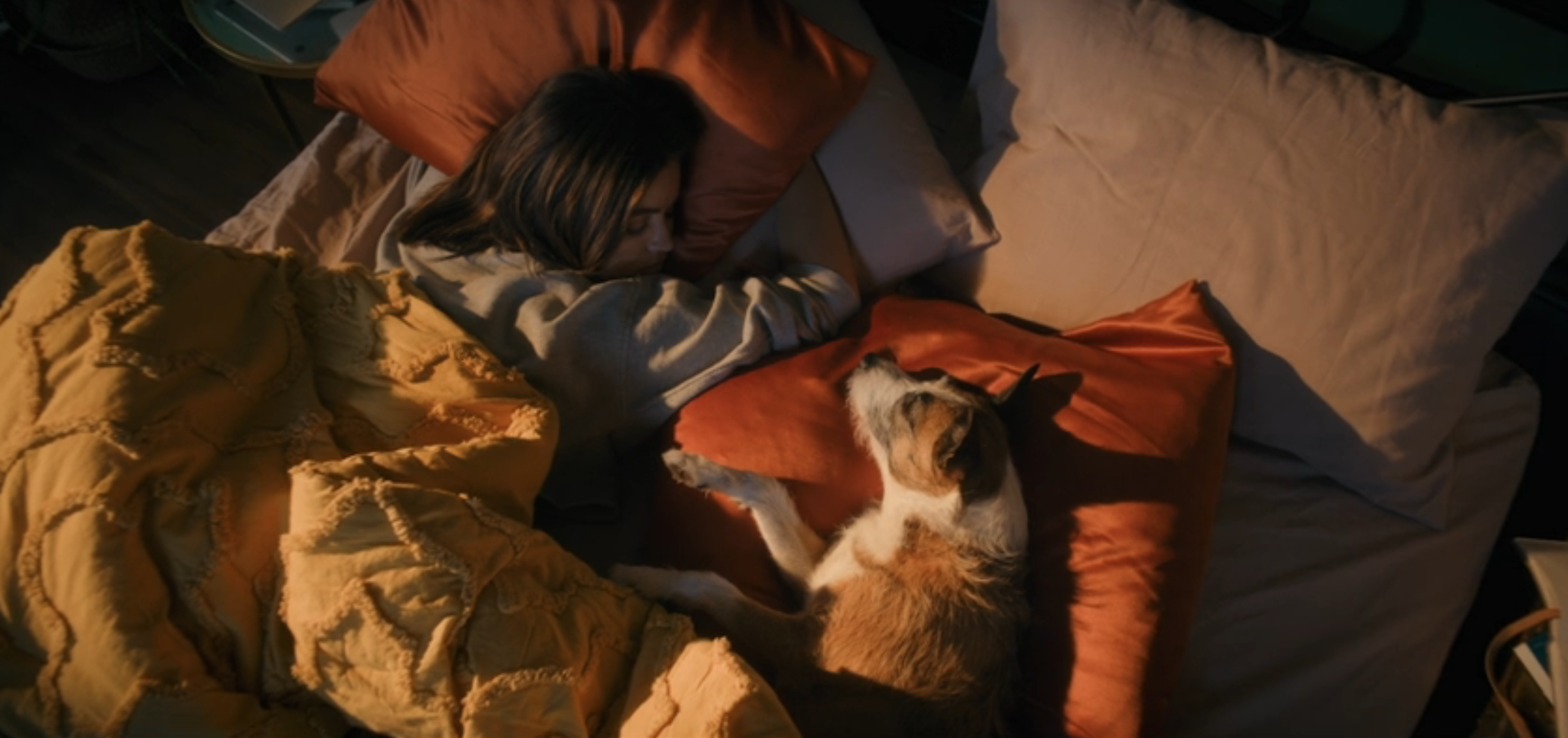 dog lying in bed next to sleeping lucy hale