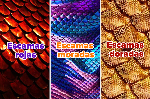 Te diré de qué color son tus escamas de dragón solo con responder estas preguntas