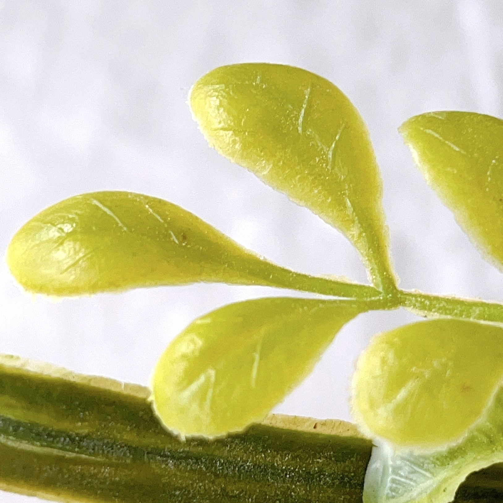 ダイソーのオススメの商品「グリーンブーケ(ホワイトベリーグラス)」