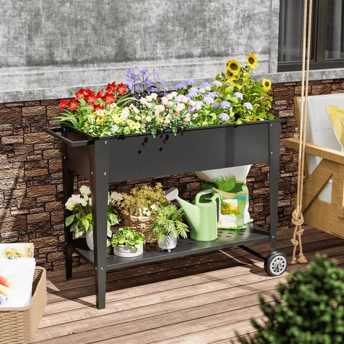The dark gray garden bed with various kinds of flowers planted in the box, with several planters, a watering can, and a bag of plant food on the bottom shelf