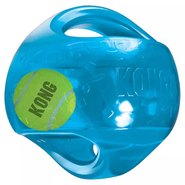 A blue Kong dog ball