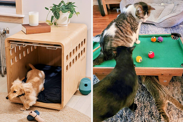 (left) dog crate (right) cat pool table