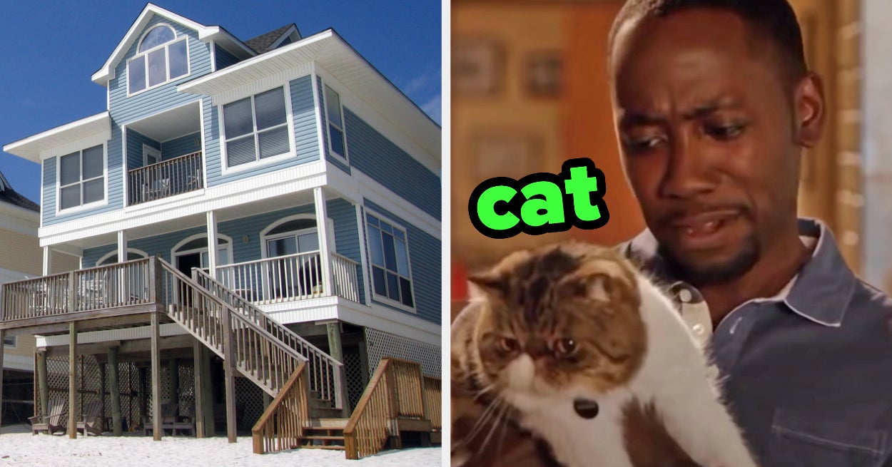 Build Beach House Reveal Inner Animal Quiz