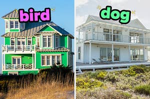 On the left, a bright house on the sand labeled bird, and on the right, a house with a wraparound porch near the sand labeled dog