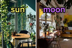 On the left, a bright cafe with tons of plants labeled sun, and on the right, a quirky coffee shop with tables and couches and plants all around labeled moon