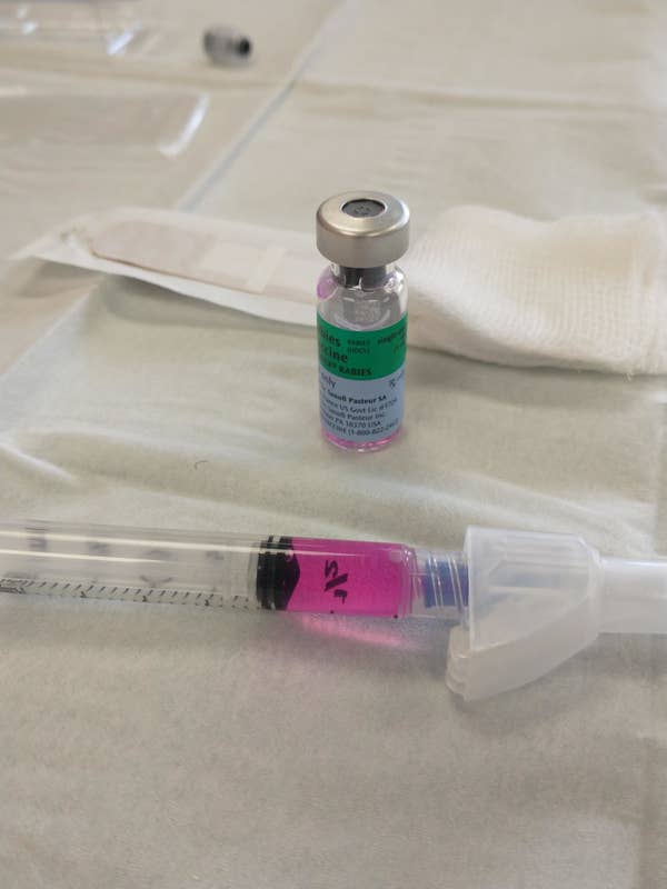 A rabies vaccine
