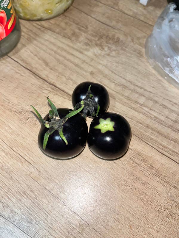 Black tomatoes