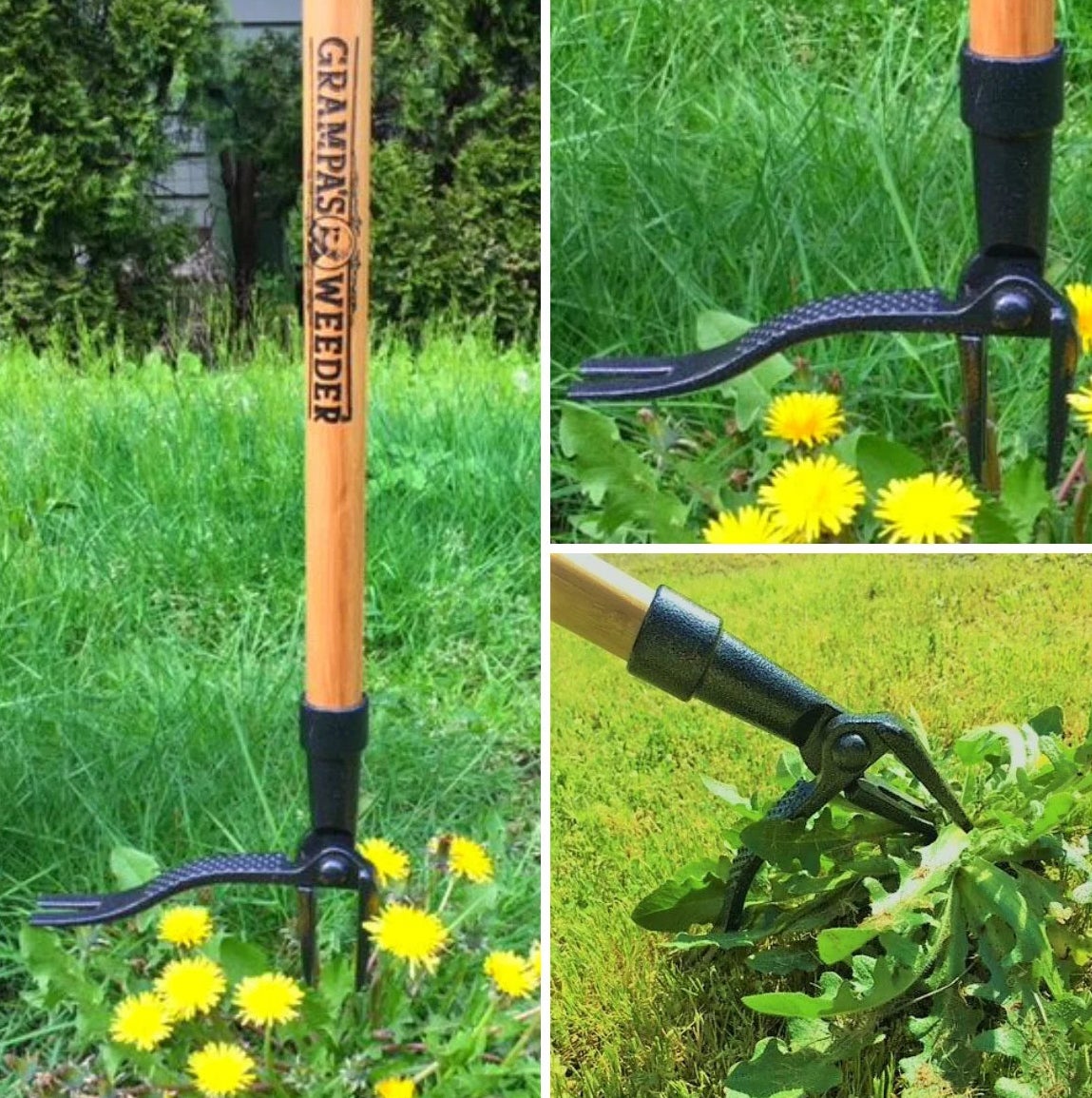 The weed puller with a bamboo long handle and a steel four-claw design