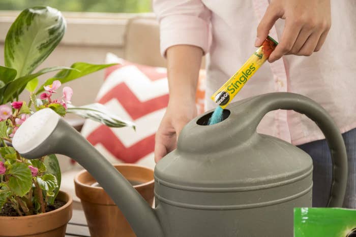 A person adding packet of plant food to a watering can
