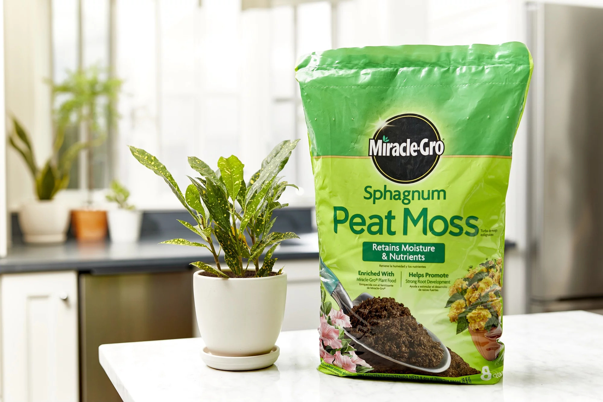The bag of peat moss next to a plant