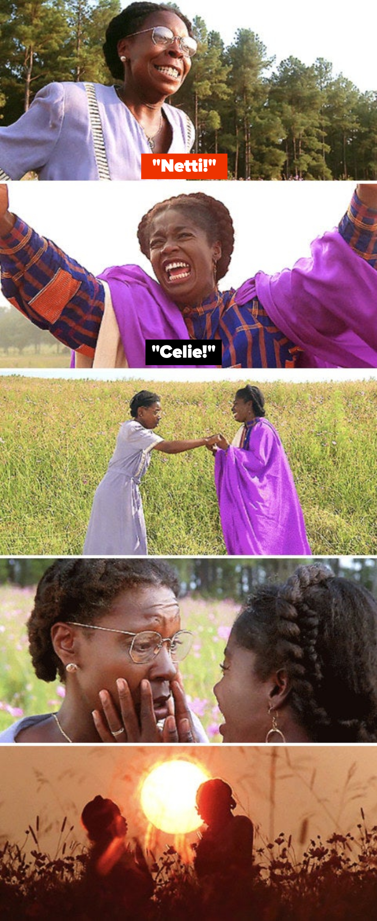 Celie and Nettie reuniting in the field at the end of &quot;The Color Purple&quot;