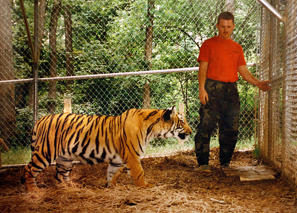 man in a cage with a tiger