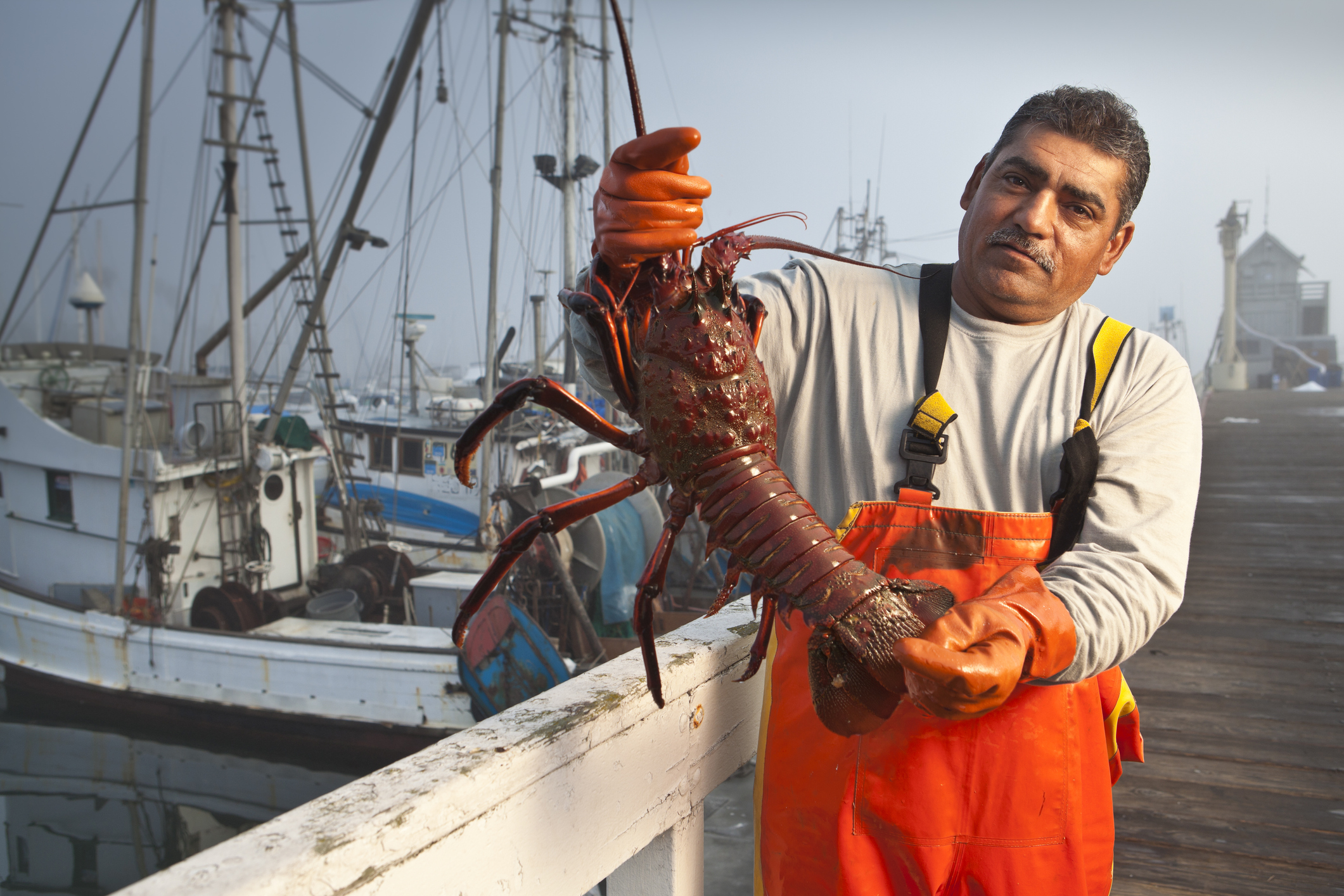 man holding a very large lobster