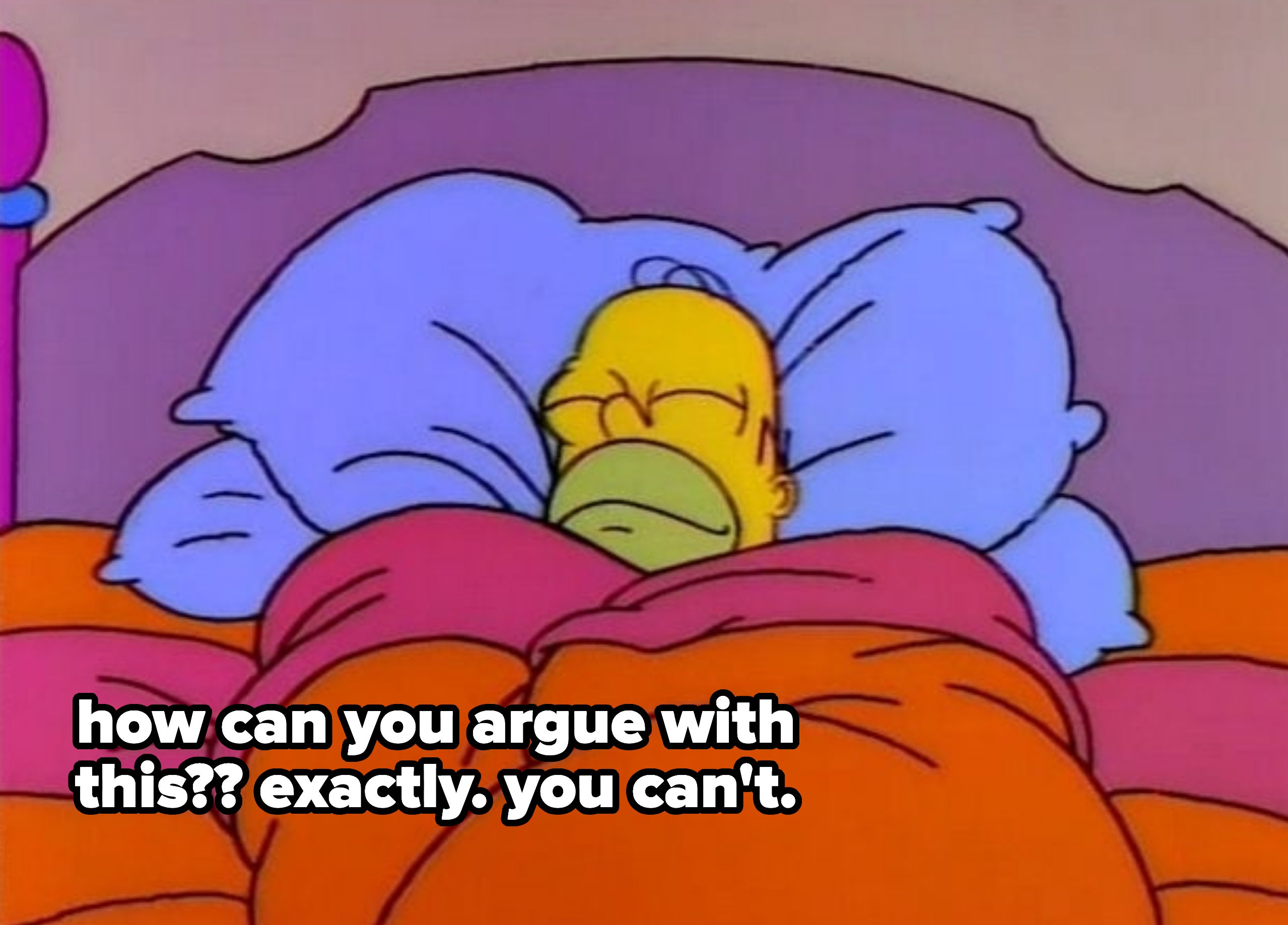homer simpson sleeping with 2 pillows and text reading how can you argue with this? exactly, you can't