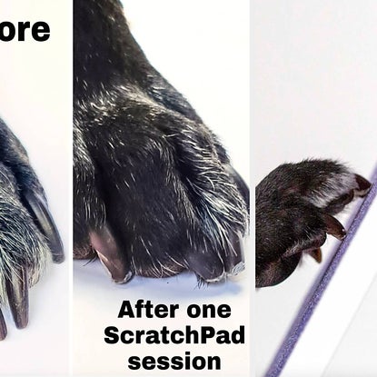 17 Pet Products With Before-And-After Photos That May Just Convince You To Click 