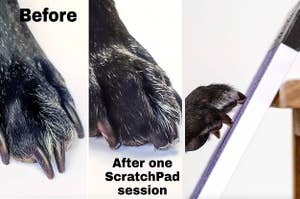 a before and after for the scratchpad