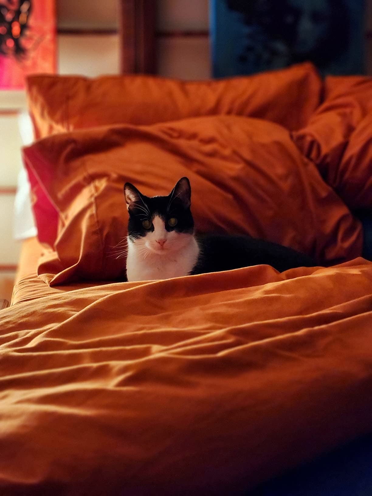21 Best Sheets On Amazon To Upgrade Your Bed In 2026