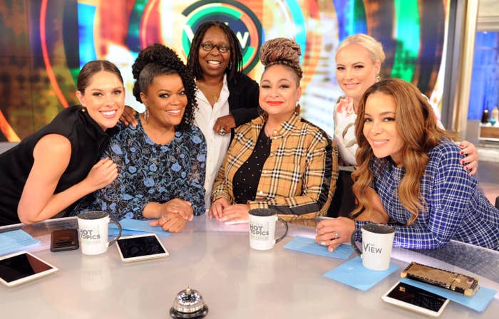 The cast of &quot;The View&quot;