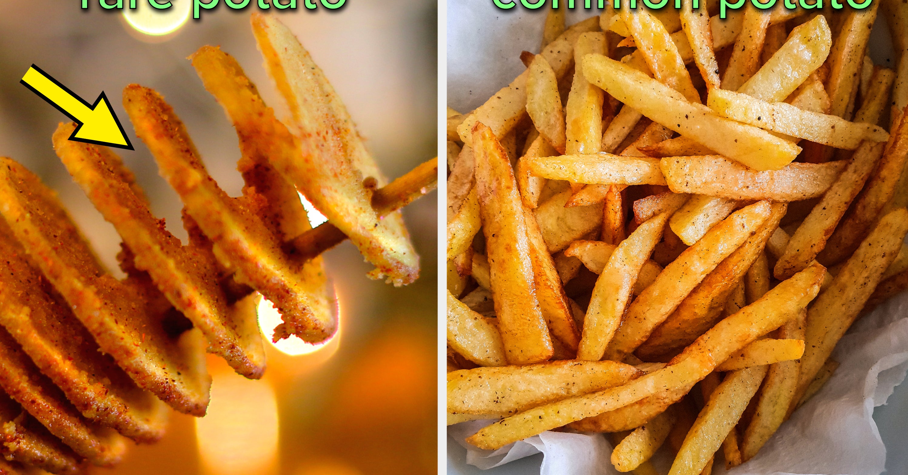 What Kind Of Potato Are You?