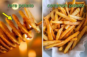 tornado potato on the left and french fries on the right