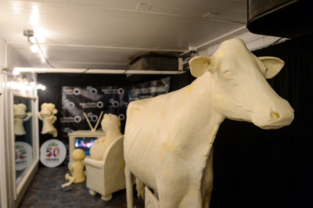 the 2023 state fair butter cow on display
